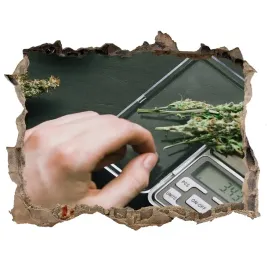 samoprzylepna-naklejka-fototapeta-topy-marihuany