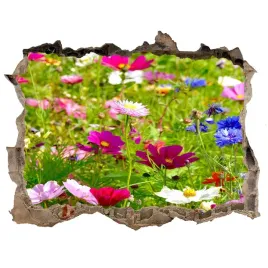samoprzylepna-naklejka-fototapeta-polne-kwiaty