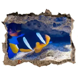 dziura-3d-fototapeta-naklejka-tropikalna-ryba