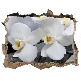 samoprzylepna-naklejka-fototapeta-orchidea-168x113