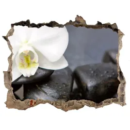 samoprzylepna-naklejka-fototapeta-orchidea-168x113