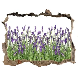 samoprzylepna-naklejka-fototapeta-kwiaty-lawendy