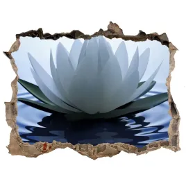 samoprzylepna-naklejka-fototapeta-lilia-wodna