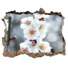 samoprzylepna-naklejka-fototapeta-kwiaty-wisni