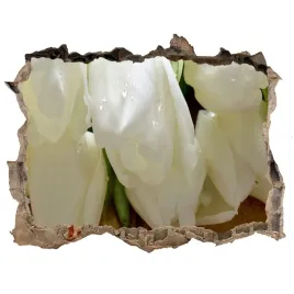 samoprzylepna-naklejka-fototapeta-biale-tulipany