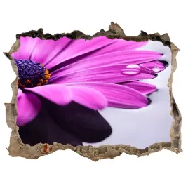 samoprzylepna-naklejka-fototapeta-gerbera-168x113