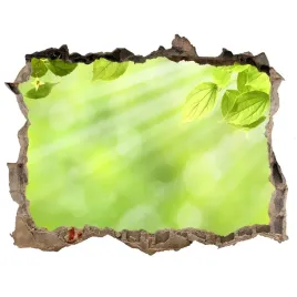 samoprzylepna-naklejka-fototapeta-liscie-168x113