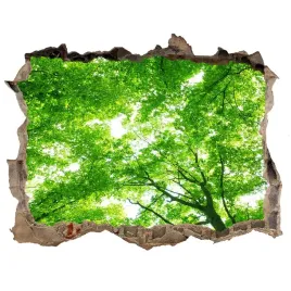 samoprzylepna-naklejka-fototapeta-zielony-las