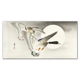 szklo-panel-kuchnia-zwierzeta-ptaki-kaczki-100x50