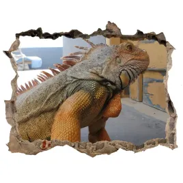 dziura-3d-fototapeta-naklejka-iguana-168x113