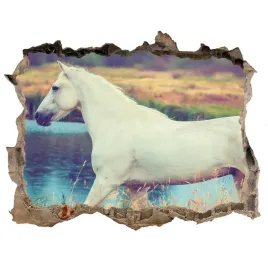 dziura-3d-fototapeta-naklejka-bialy-kon-jezioro