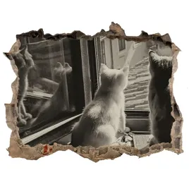 dziura-3d-fototapeta-naklejka-koty-przy-oknie
