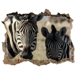 dziura-3d-fototapeta-naklejka-dwie-zebry-168x113