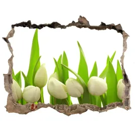 samoprzylepna-naklejka-na-sciane-biale-tulipany