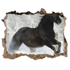 dziura-3d-fototapeta-naklejka-kon-w-galopie-snieg