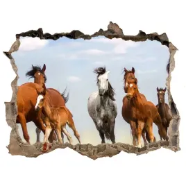 dziura-3d-fototapeta-naklejka-konie-w-galopie