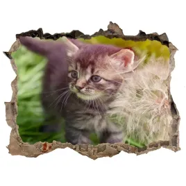 dziura-3d-fototapeta-naklejka-kotek-z-dmuchawcem