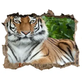 dziura-3d-fototapeta-naklejka-tygrys-syberyjski