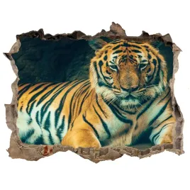 dziura-3d-fototapeta-naklejka-tygrys-w-jaskini