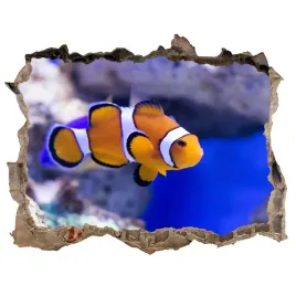 dziura-3d-fototapetablazenek-rafa-koralowa-168x113