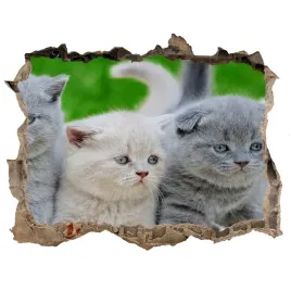 dziura-3d-fototapeta-naklejka-trzy-koty-na-kocu