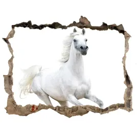 dziura-3d-fototapeta-naklejka-bialy-arabski-kon