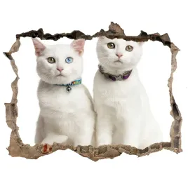 dziura-3d-fototapeta-naklejka-biale-koty-168x113