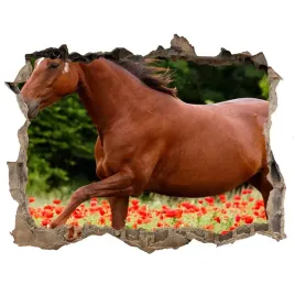 dziura-3d-fototapeta-naklejka-kon-na-polu-makow