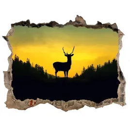 dziura-3d-fototapeta-na-sciane-naklejka-jelen
