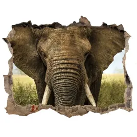 dziura-3d-fototapeta-na-sciane-slon-na-sawannie