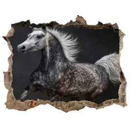 dziura-3d-fototapeta-na-sciane-szary-kon-arabski