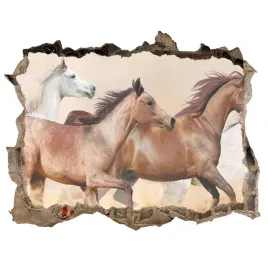 dziura-3d-fototapeta-naklejka-konie-w-galopie