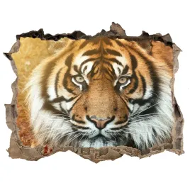 dziura-3d-fototapeta-na-sciane-tygrys-bengalski