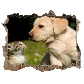 dziura-3d-fototapeta-naklejka-pies-i-kot-na-lace