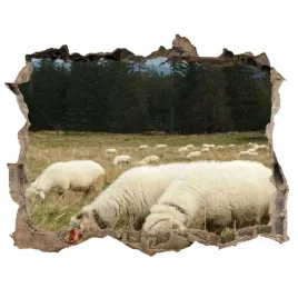 dziura-3d-fototapeta-naklejka-pasace-sie-owce