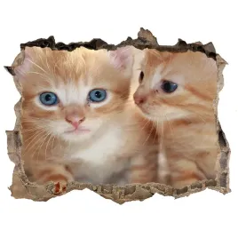 dziura-3d-fototapeta-naklejka-male-koty-168x113