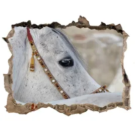 dziura-3d-fototapeta-naklejka-bialy-kon-arabski