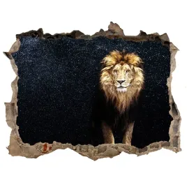 dziura-3d-fototapeta-naklejka-lew-na-tle-gwiazd