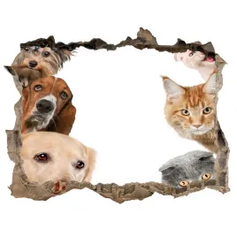 dziura-3d-fototapeta-na-sciane-psy-i-koty-168x113