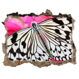 dziura-3d-fototapeta-naklejka-motyl-na-kwiatku
