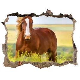 dziura-3d-fototapeta-naklejka-brazowy-kon-168x113