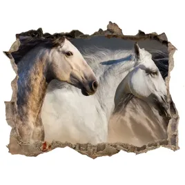 dziura-3d-fototapeta-naklejka-konie-w-galopie