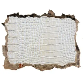 dziura-3d-fototapeta-na-sciane-skora-krokodyla