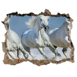 dziura-3d-foto-tapeta-naklejka-konie-w-galopie