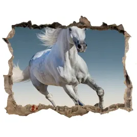 dziura-3d-foto-tapeta-bialy-kon-w-galopie-168x113