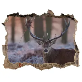 dziura-3d-foto-tapeta-naklejka-jelen-o-wschodzie