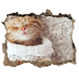 dziura-3d-foto-tapeta-naklejka-kotek-w-swetrze