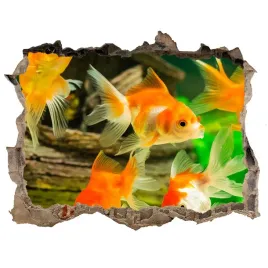 dziura-3d-foto-tapeta-naklejka-zlote-rybki-168x113