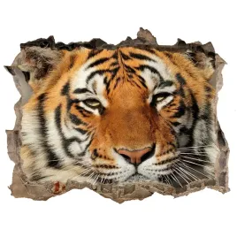 dziura-3d-foto-tapeta-naklejka-tygrys-bengalski