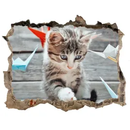 dziura-3d-fototapeta-kot-ptaki-z-papieru-168x113